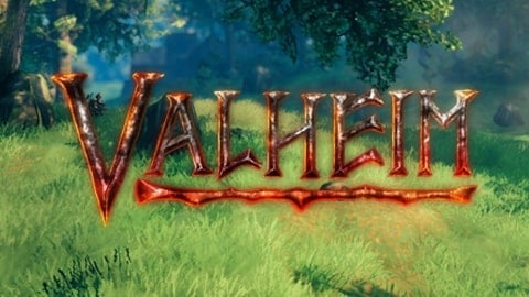 Valheim server hosting store game banner
